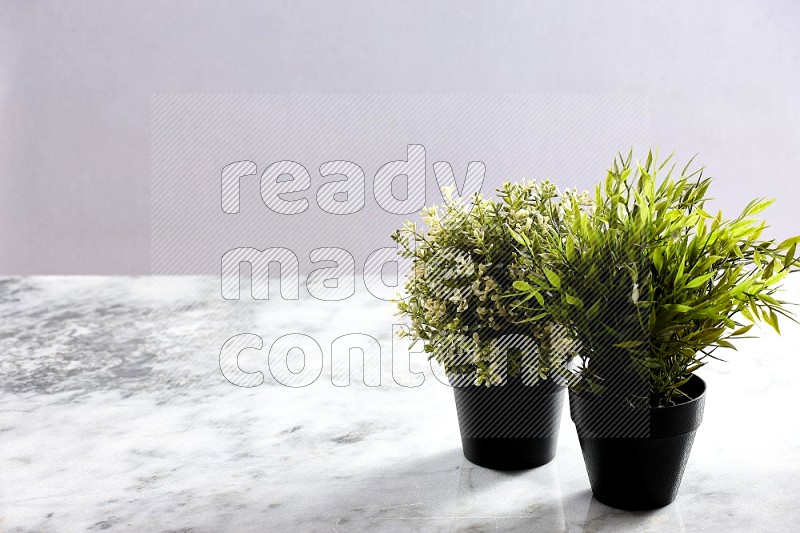 Two different Artificial Plants in black pot on Light Grey Marble Background 45 degree angle