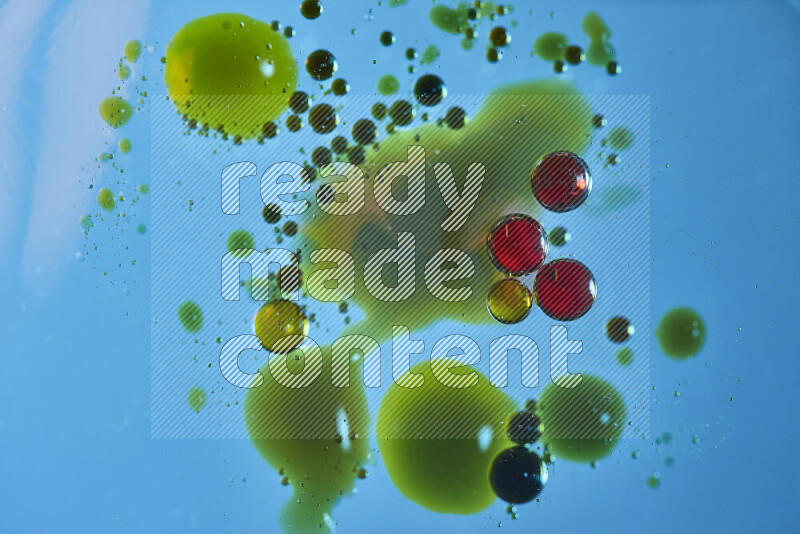 Close-ups of abstract red, blue and yellow watercolor drops on oil Surface on blue background