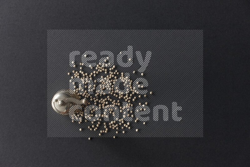 White pepper with a metal pepper grinder on black flooring