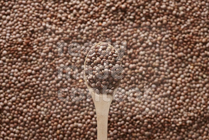A wooden spoon full of brown lentils on brown lentils background