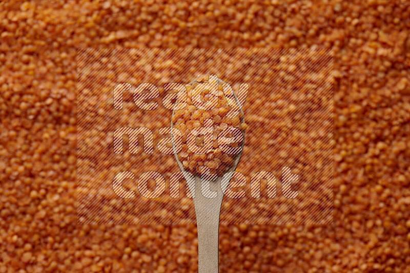 A wooden spoon full of lentils on lentils background