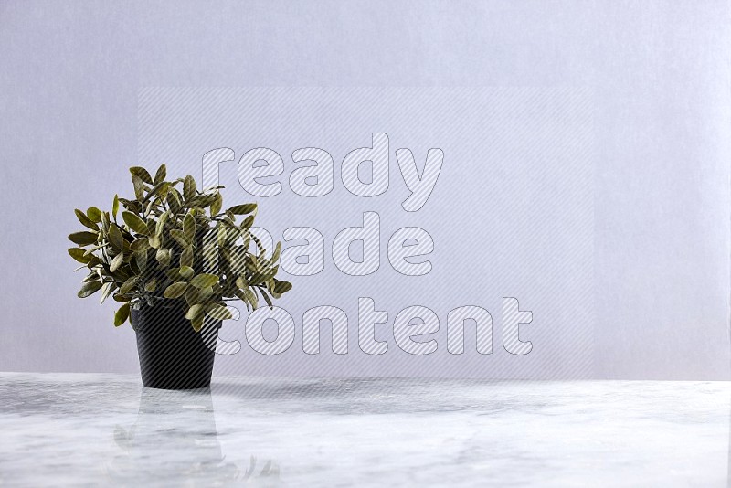 Artificial Plant in black pot on Light Grey Marble Flooring 15 degree angle