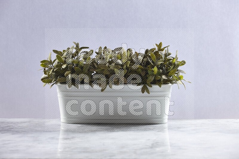Multiple green artificial plants in white pot on grey marble background
