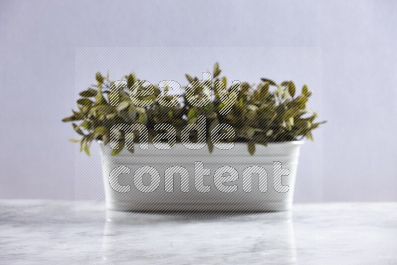 Artificial plant in white pot on grey marble background