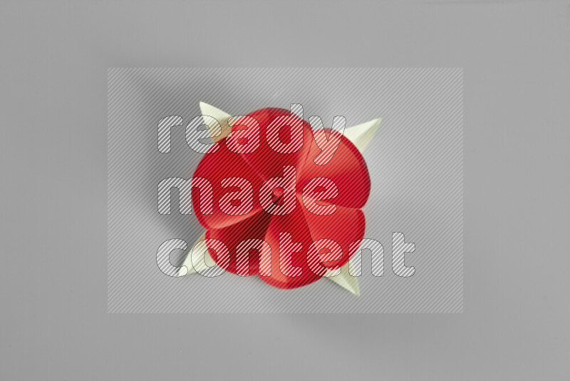 Origami flower on grey background
