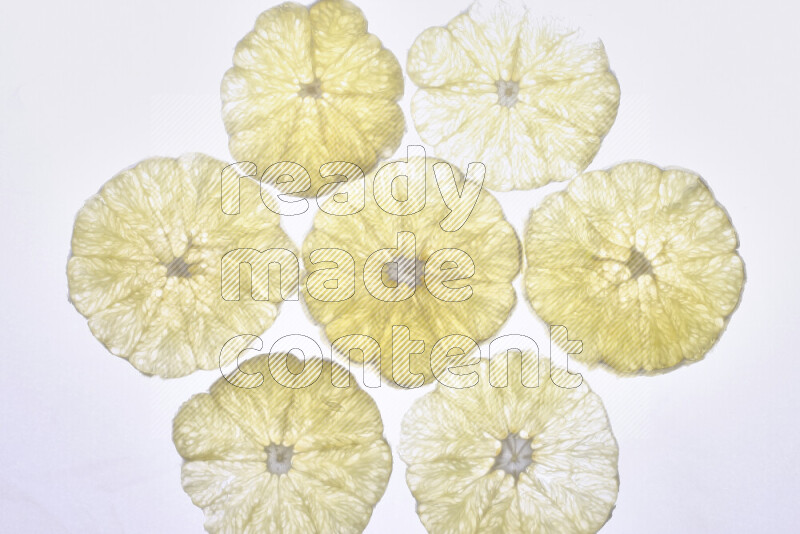 Orange slices on illuminated white background