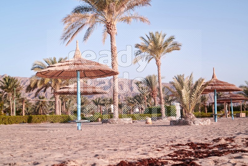 Resort view on the beach