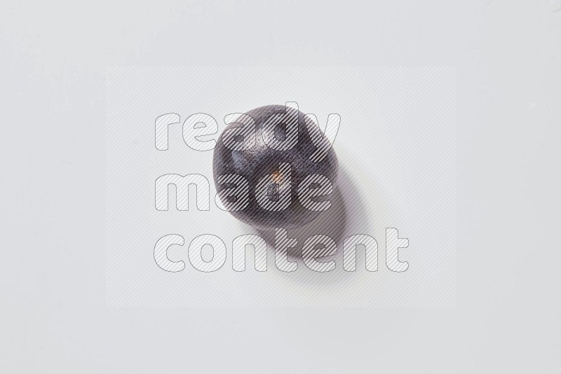A single blueberry on a white background