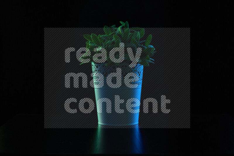 Plastic potted plant with colored rim light against black background