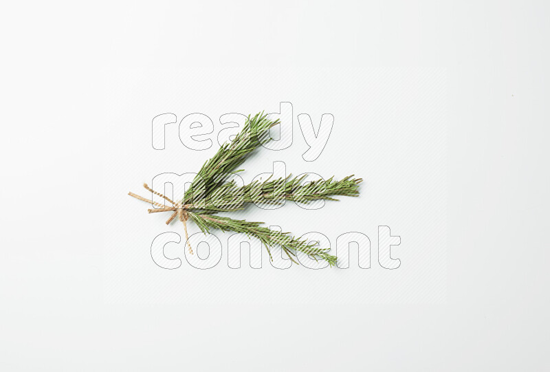 Three fresh rosemary sprigs on white background