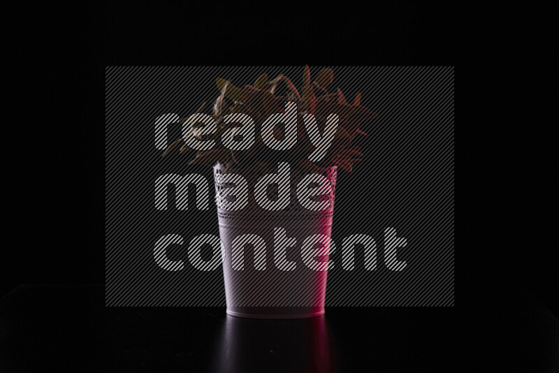 Plastic potted plant with colored rim light against black background