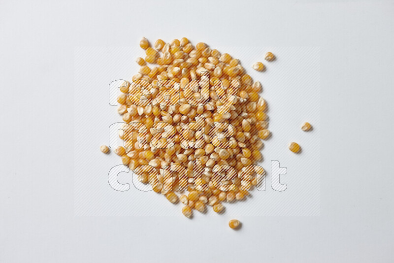 Dry Corn Kernels on white background