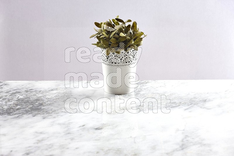 Artificial Plant in White Decorative Pot on Light Grey Marble Background 45 degree angle