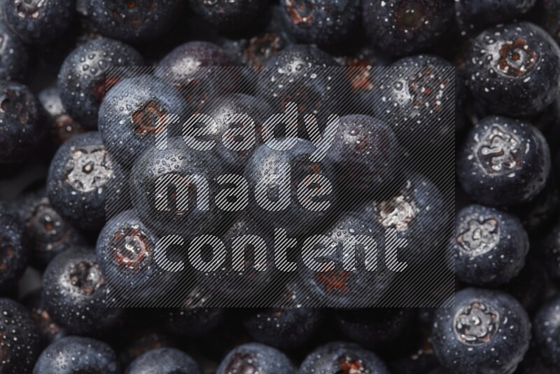 top view shot of blueberries