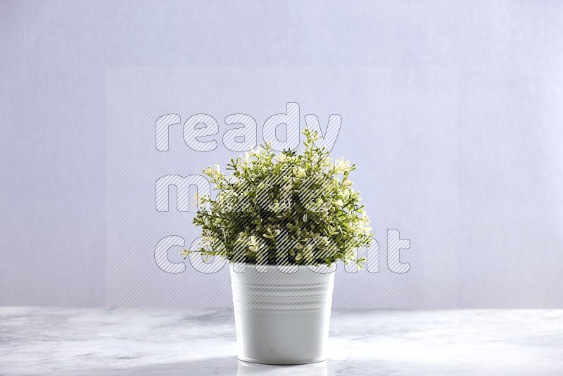 Artificial Thyme Plant in White pot on Light Grey Marble Flooring 15 degree angle