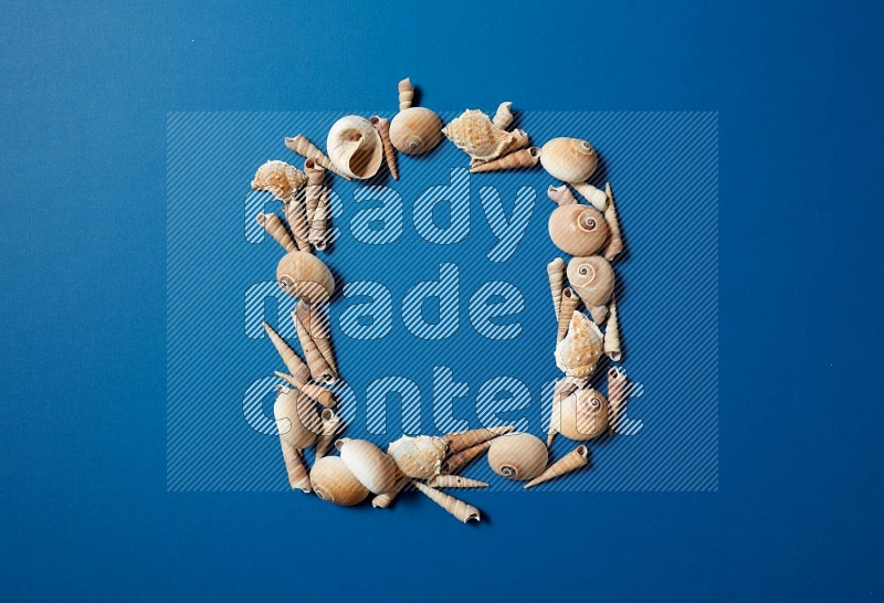 top view shot of seashells arrangement on blue background