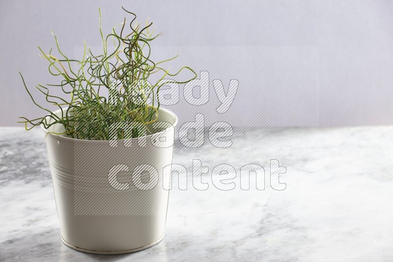 Green artificial plant in white pot on light grey marble background