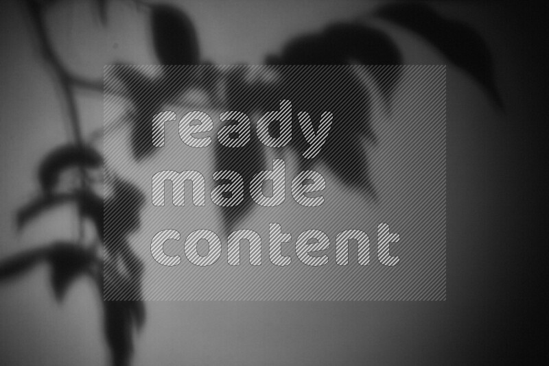 يظهر ضوء غوبو خافت ظلال أوراق نبات تسقط على سطح ناعم