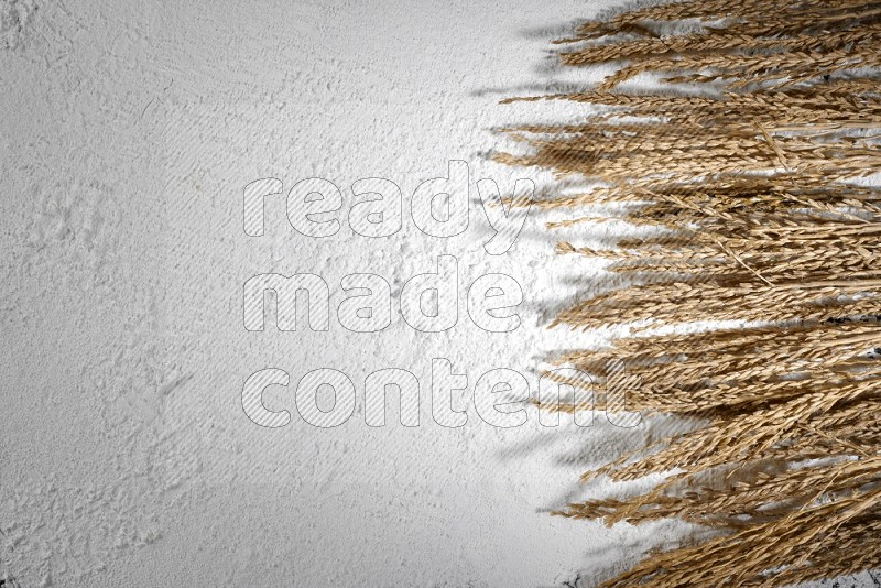 Wheat stalks on flour