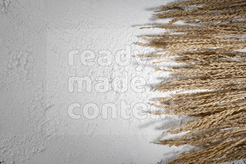 Wheat stalks on flour