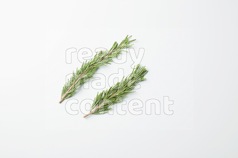 Two fresh rosemary sprigs on white background