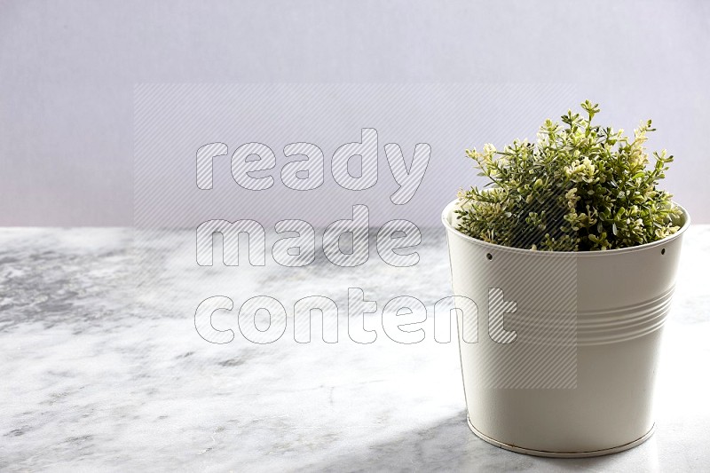 Artificial Thyme Plant in White pot on Light Grey Marble Background 45 degree angle