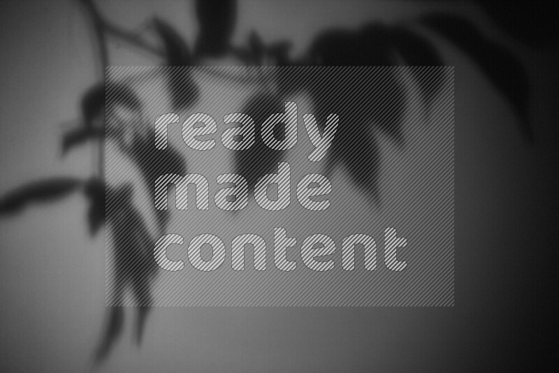 يظهر ضوء غوبو خافت ظلال أوراق نبات تسقط على سطح ناعم