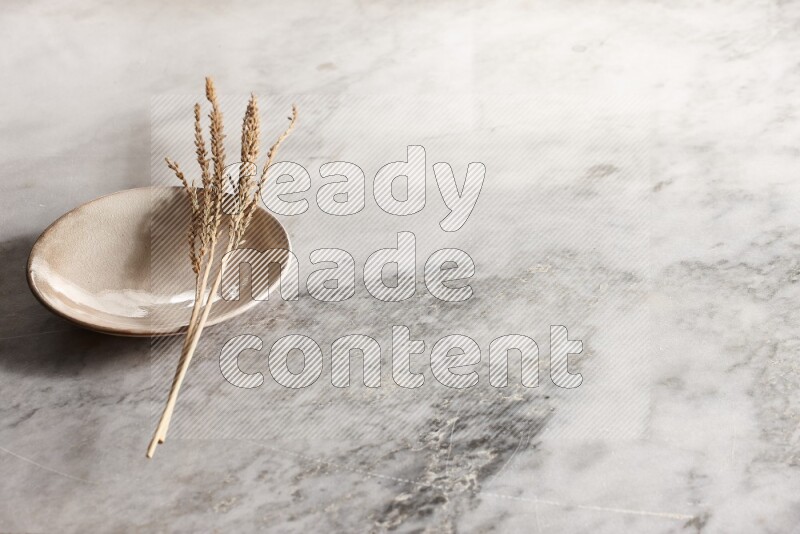Wheat stalks on Beige Pottery Plate on grey marble flooring, 45 degree angel