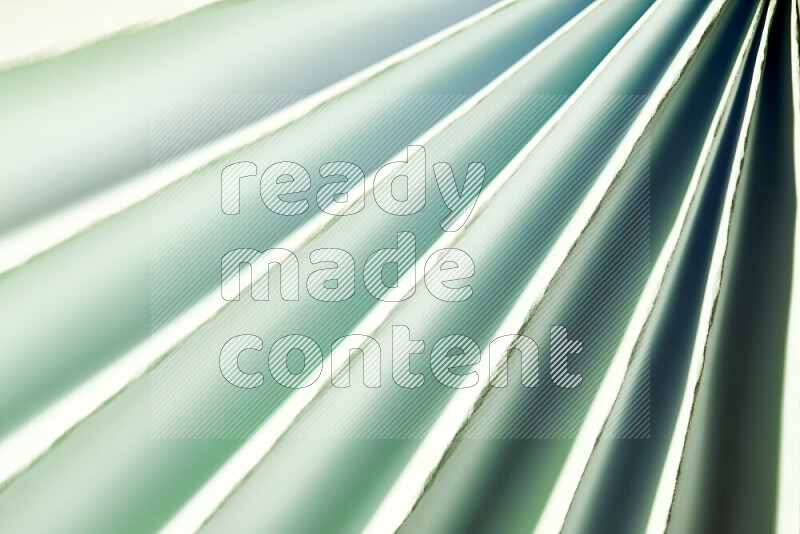صورة تقدم نمط تجريدي ورقي من الخطوط المائلة بدرجات اللون الأخضر والأبيض
