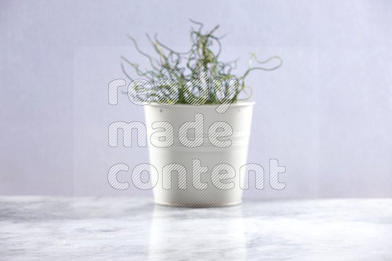 Artificial Plant in White pot (out of focus background) on Light Grey Marble Flooring 15 degree angle