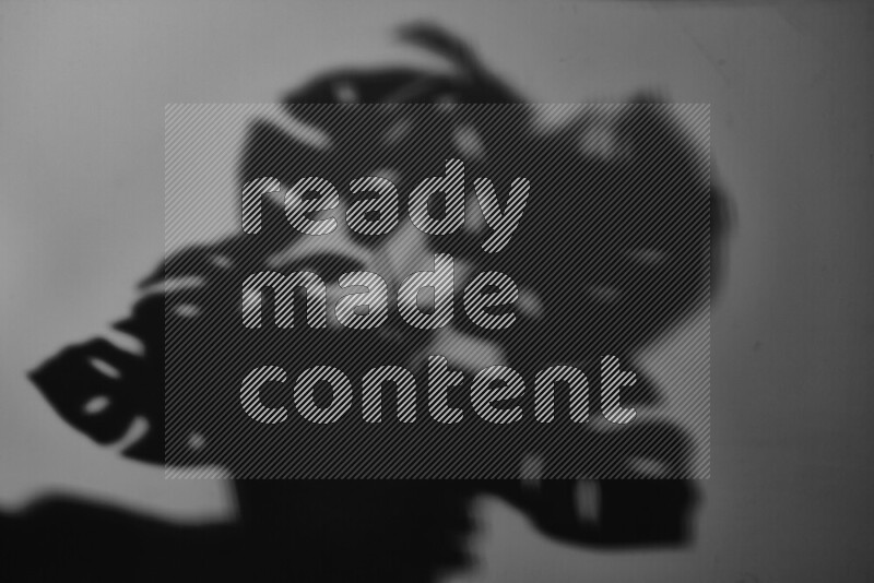 يظهر ضوء غوبو خافت ظلال أوراق نبات تسقط على سطح ناعم