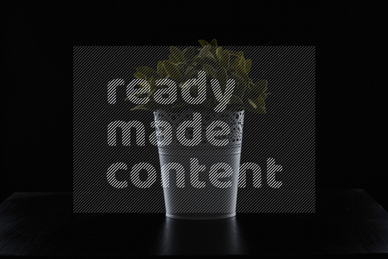 Plastic potted plant with rim light against black background