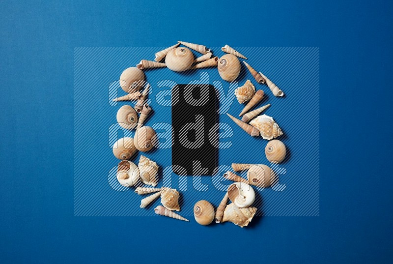 top view shot of phone with seashells on blue background