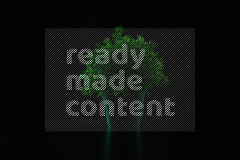 Plastic potted plant with colored rim light against black background