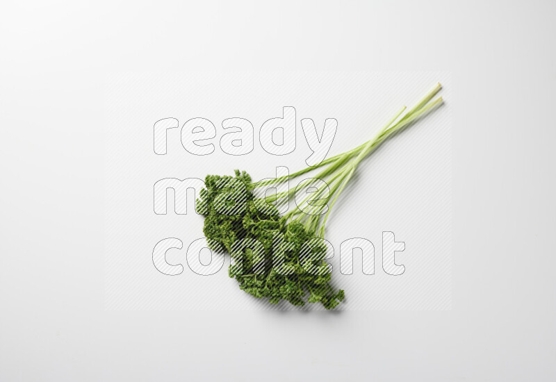 A bunch of fresh curly lettuce sprigs on a white background