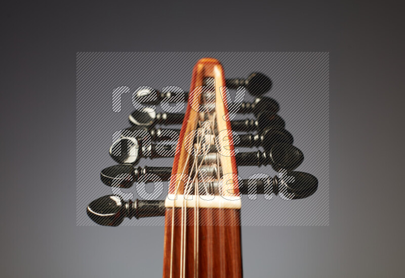 parts of a brown wooden Oud in a gray background