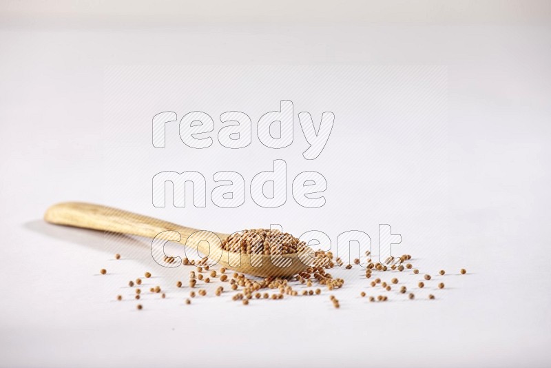 A wooden spoon full of mustard seeds on a white flooring in different angles