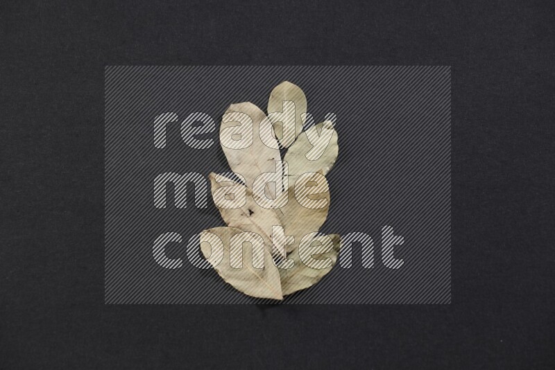 Dried bay leaves on black flooring