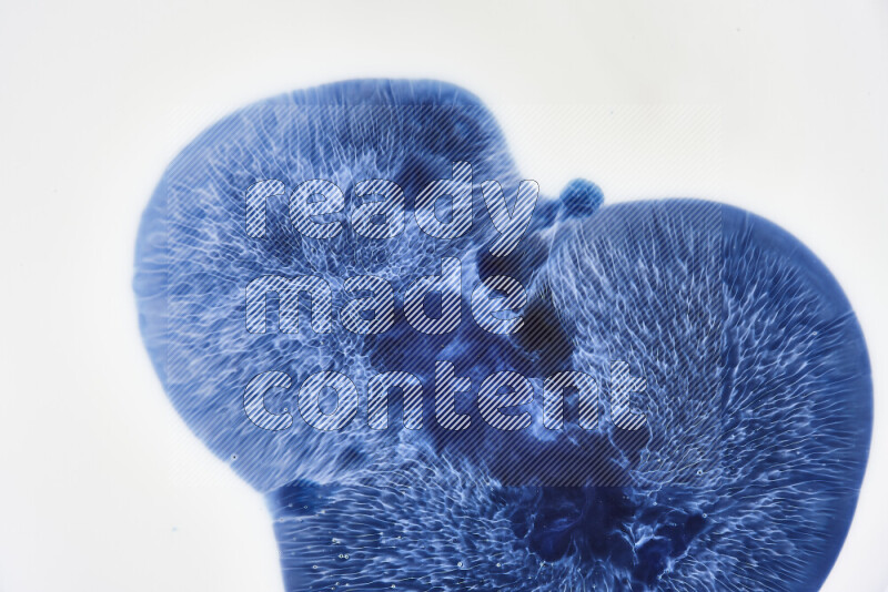 لقطة مقربة لأنماط دوامية باللون الأزرق والأبيض