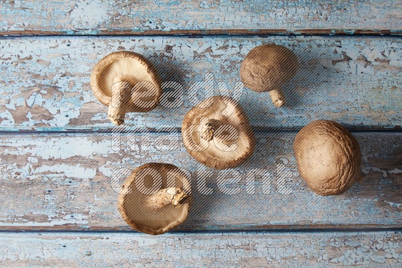 fresh shiitake Mushrooms topview on a light blue wooden textured background