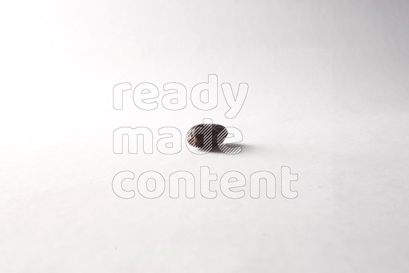 Dates on white background