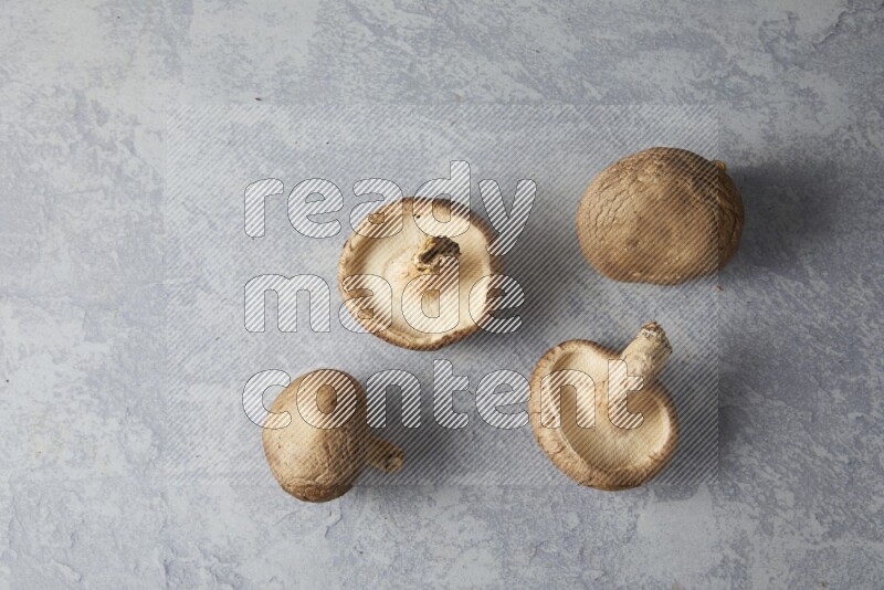 fresh shiitake Mushrooms topview on a light blue textured background