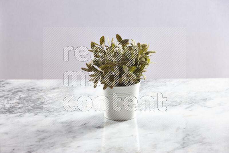 Green artificial plant in white pot on light grey marble background