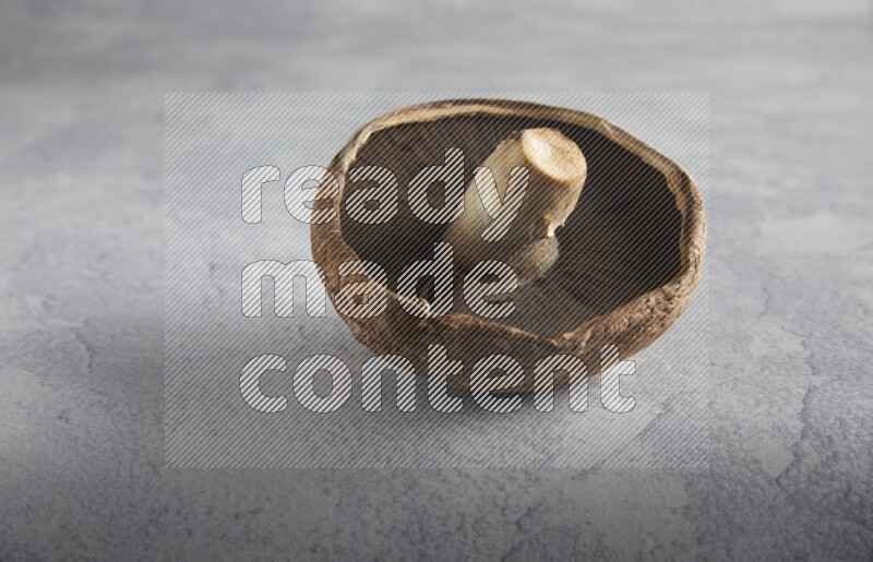 45 degre portobello mushrooms on a textured light blue background