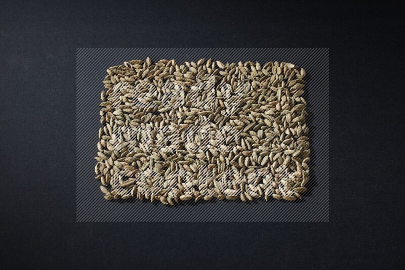 Cardamom in a rectangle shape on black flooring