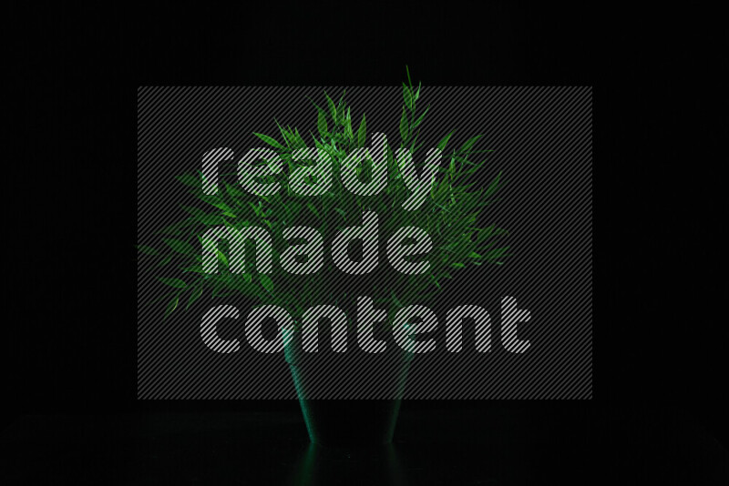 Plastic potted plant with colored rim light against black background