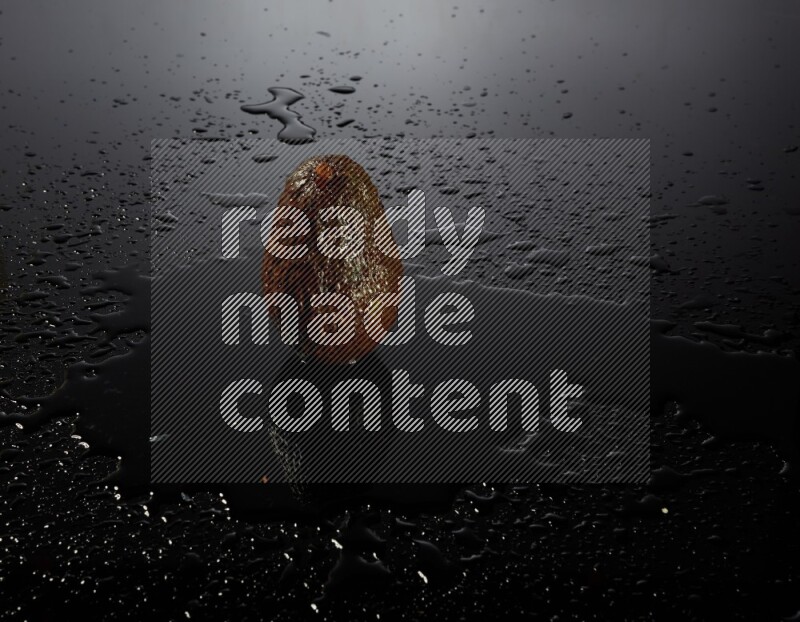 A whole avocado on black background with water drops.