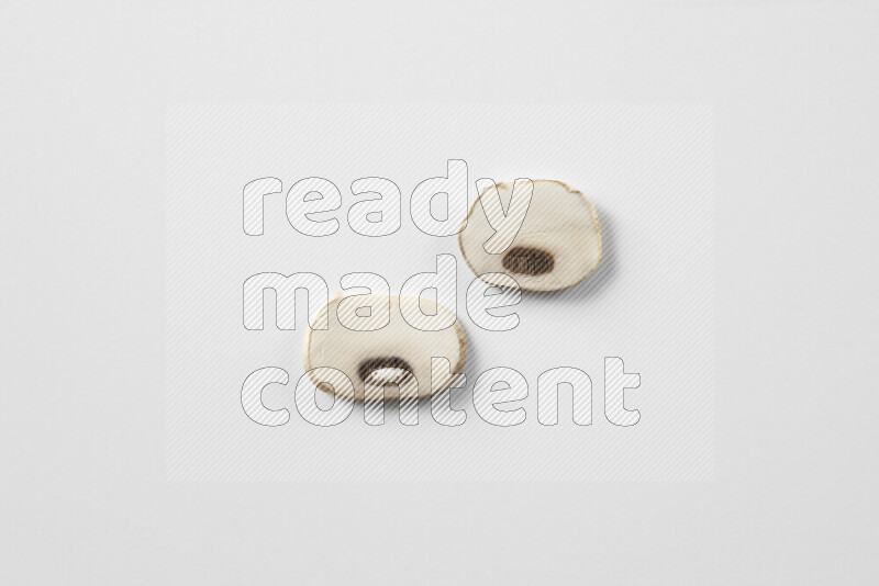 Mushrooms on white background