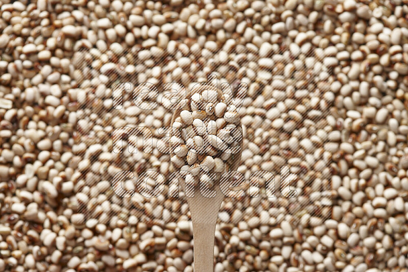 A wooden spoon full of black-eyed peas on black-eyed peas background