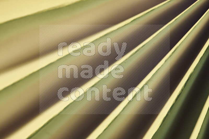 صورة تقدم نمط تجريدي ورقي من الخطوط المائلة بدرجات اللون الأخضر والالوان الدافئة
